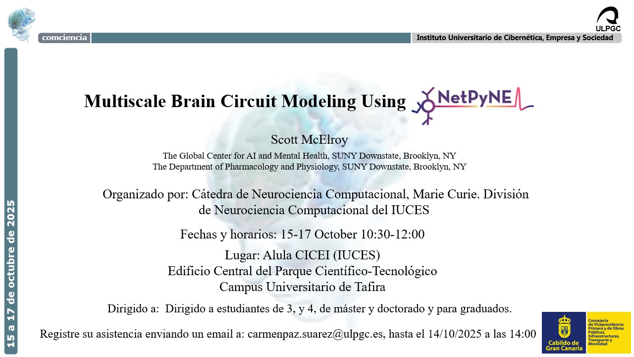Cartel promocional del seminario Multiscale brain circuit modeling using NetPyNE Description: