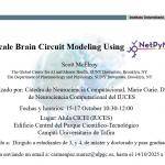 Cartel promocional del seminario Multiscale brain circuit modeling using NetPyNE Description: